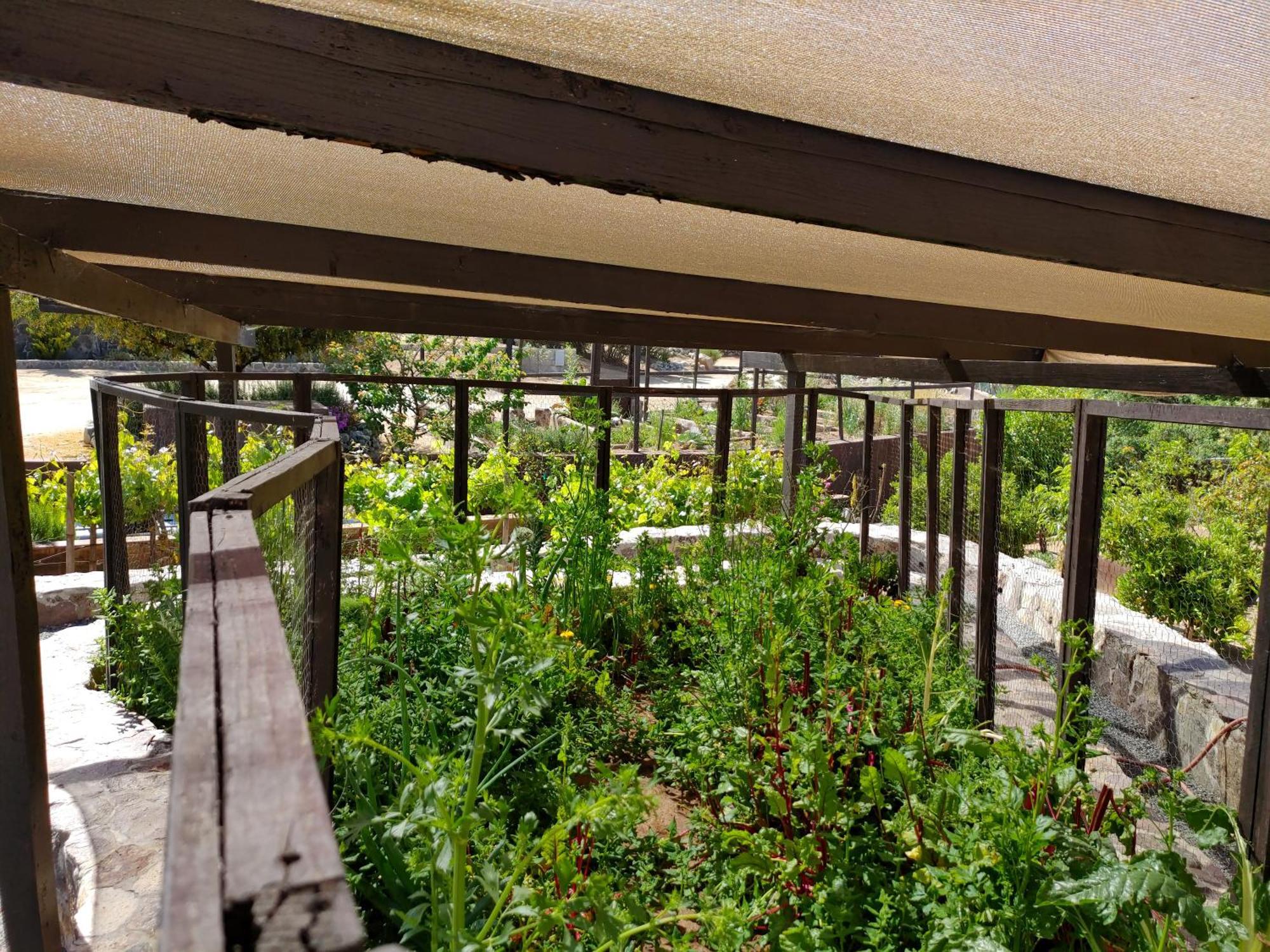 Hacienda Eco-Domes Villa Valle de Guadalupe Kültér fotó