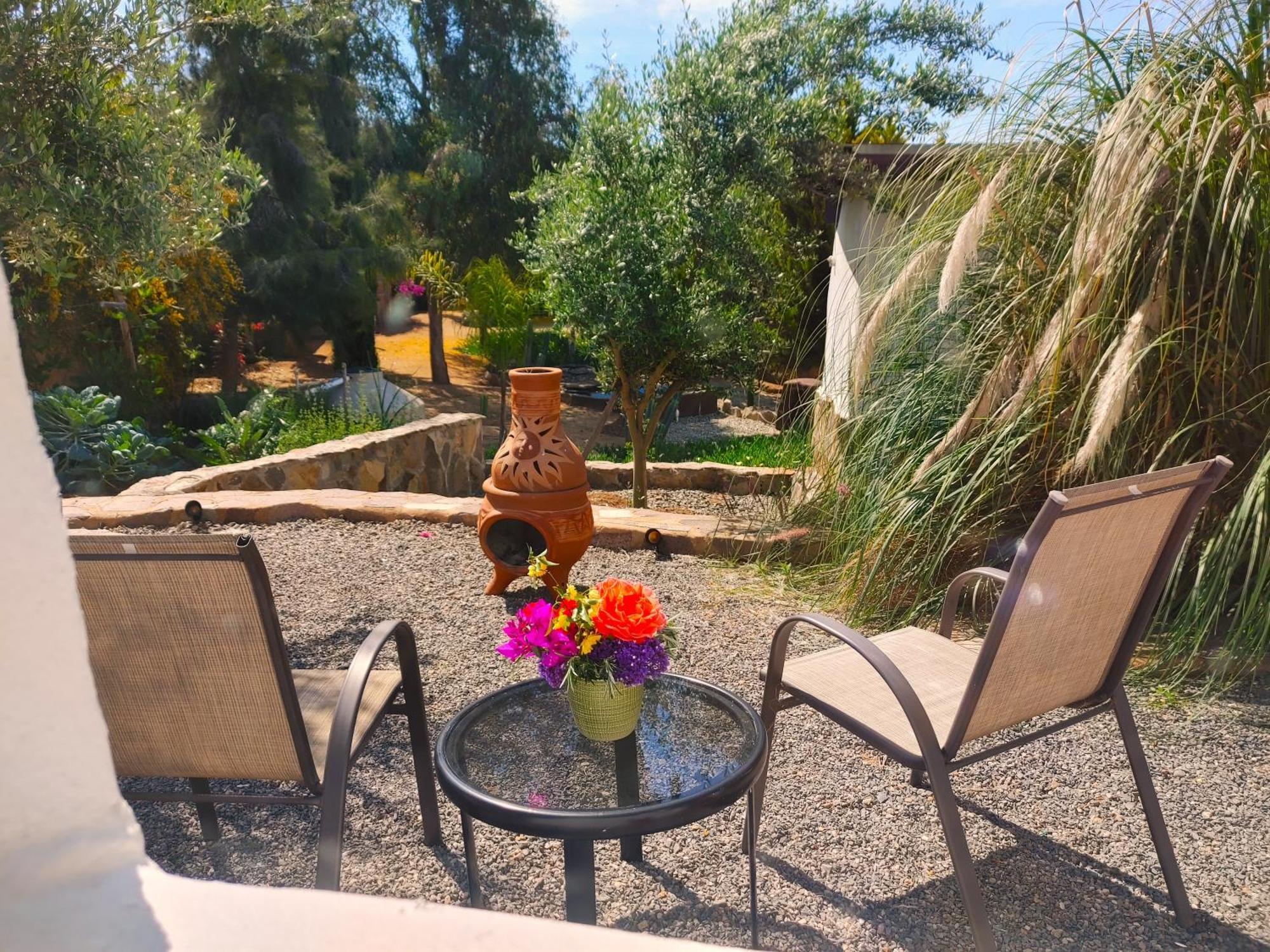 Hacienda Eco-Domes Villa Valle de Guadalupe Kültér fotó