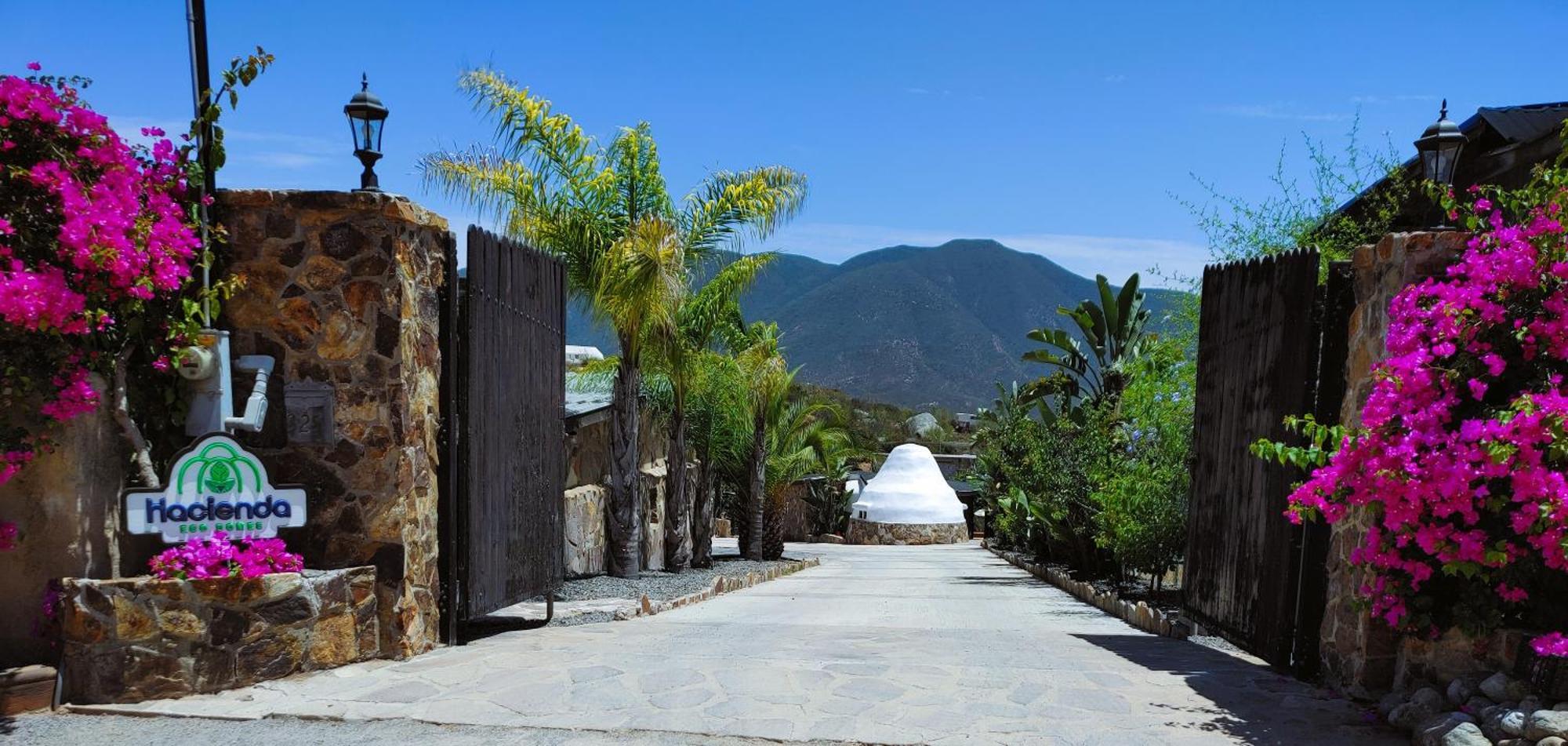Hacienda Eco-Domes Villa Valle de Guadalupe Kültér fotó